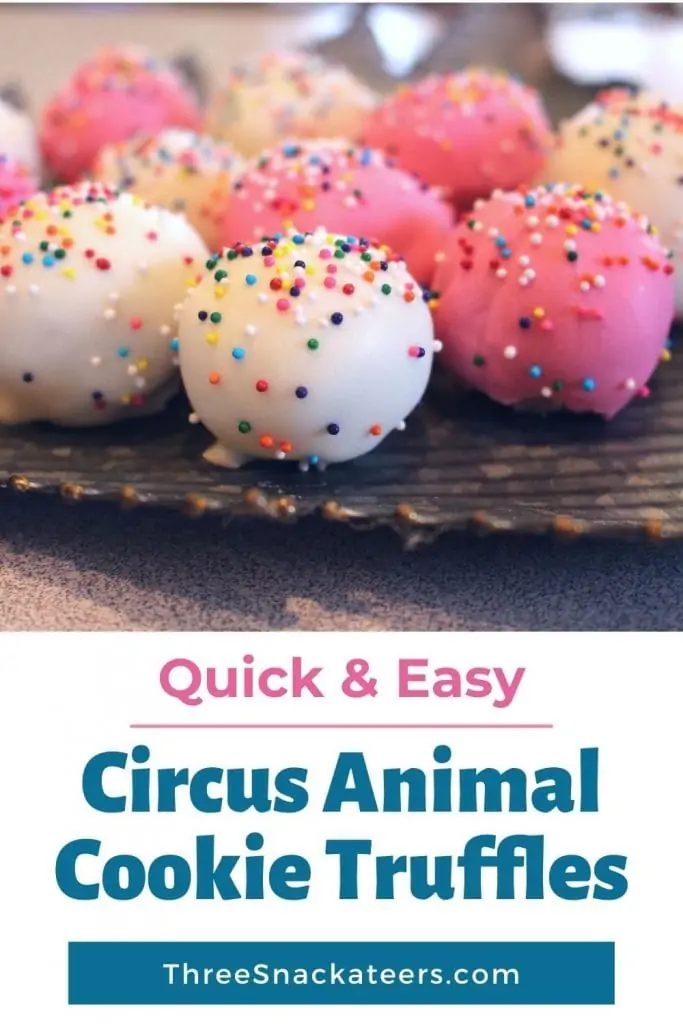 Easy Circus Animal Truffles Recipe Pin