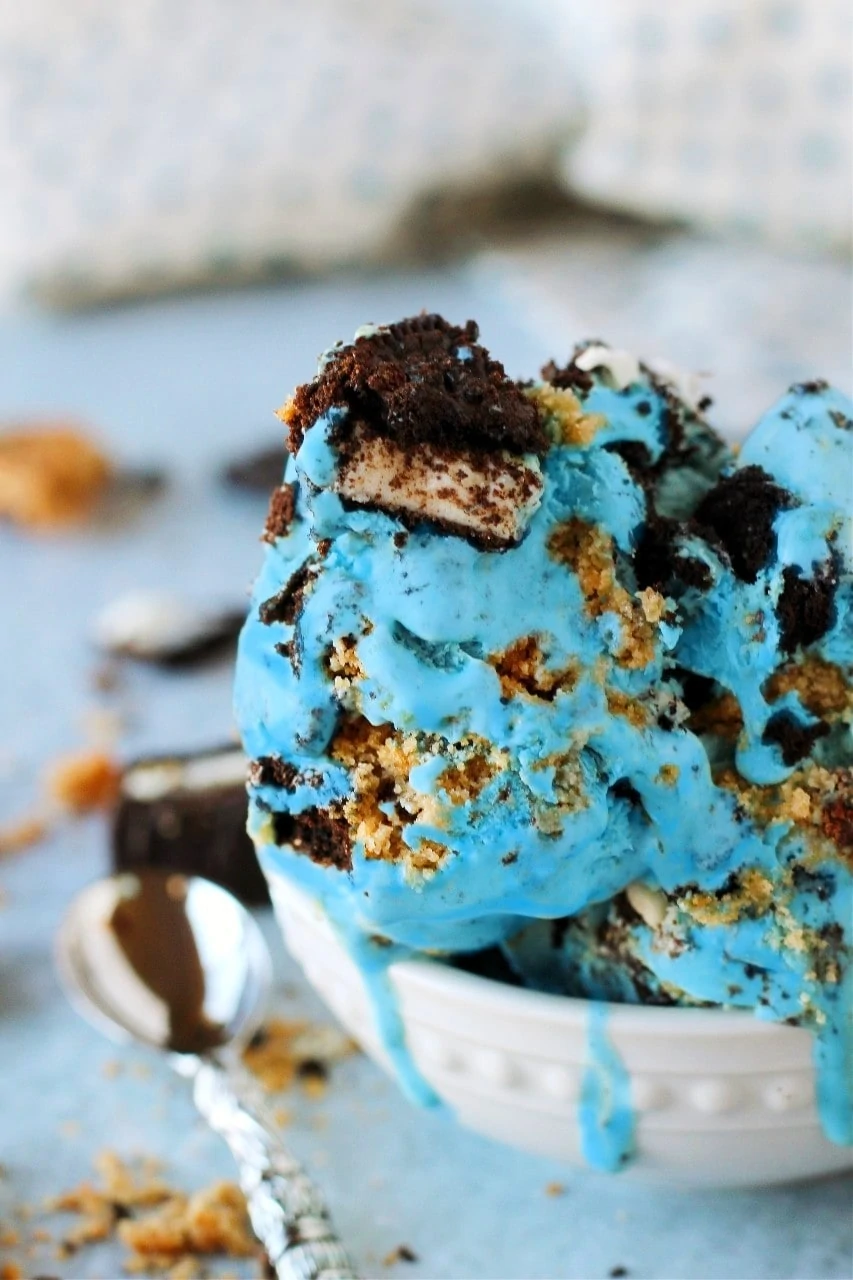 Cookie Monster Ice Cream Recipe The Three Snackateers 7439