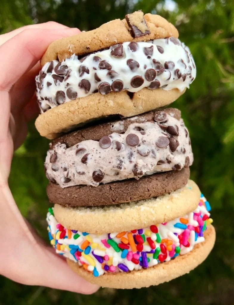 Review: Chipwich Ice Cream Cookie Sandwich (3 Flavors) - The Three ...