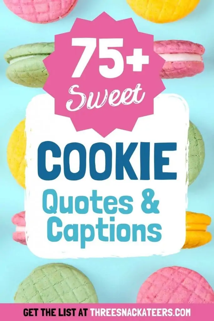 75 Best Cookie Quotes And Captions The Three Snackateers