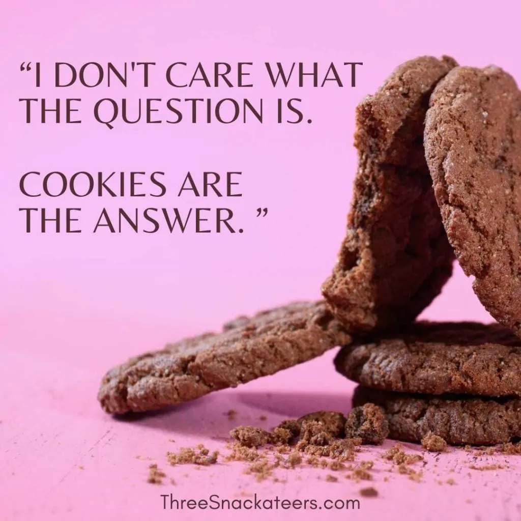 75+ Best Cookie Quotes and Captions The Three Snackateers