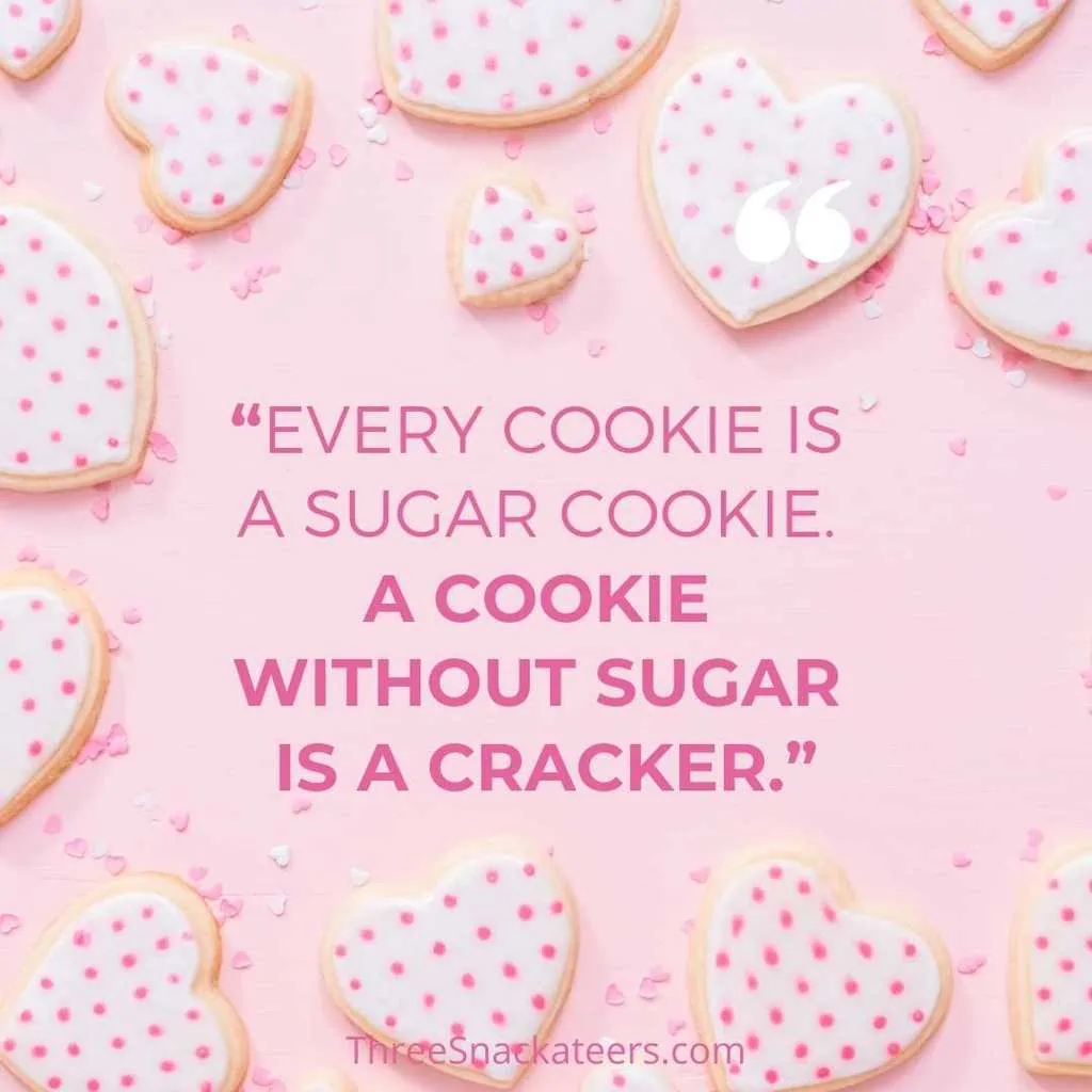 75+ Best Cookie Quotes and Captions - The Three Snackateers