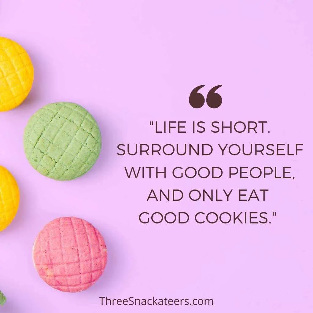 75+ Best Cookie Quotes and Captions - The Three Snackateers