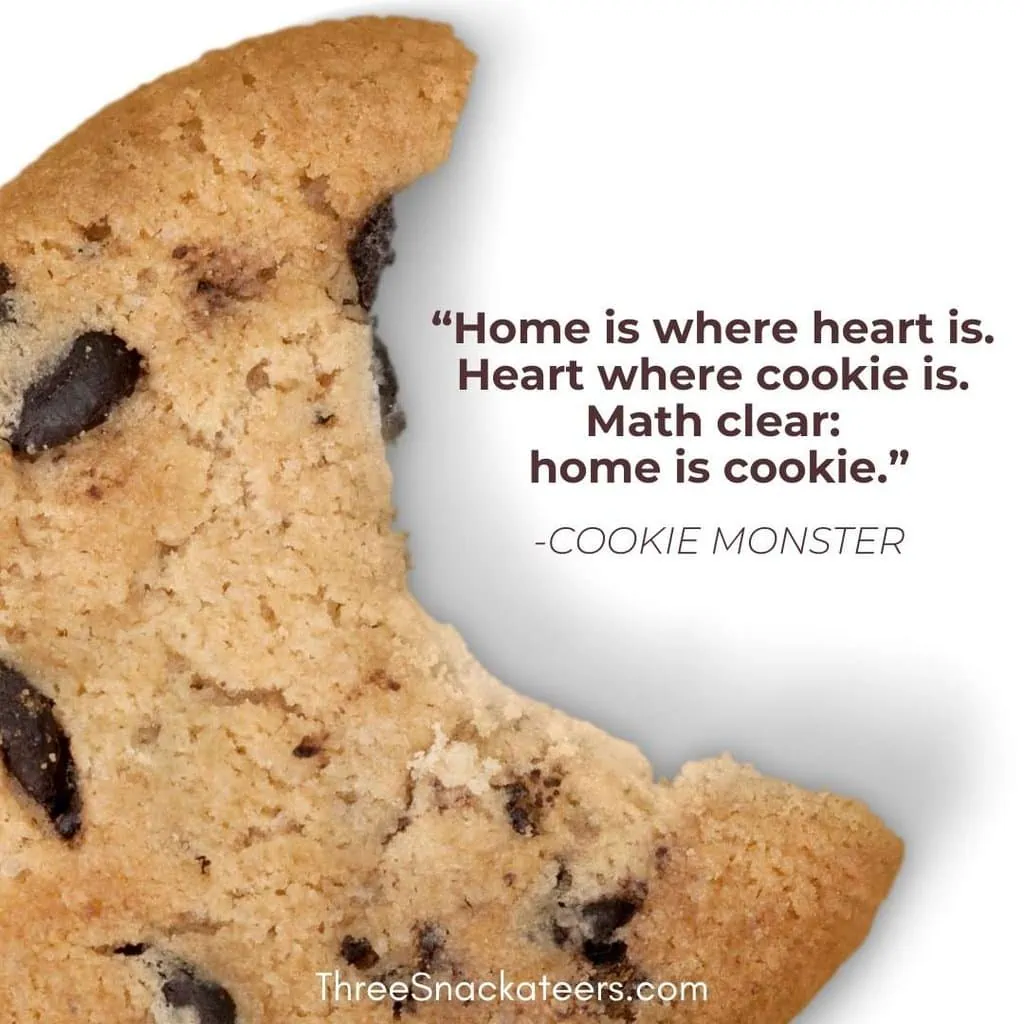 75 Cookie Monster Quotes & Captions - The Three Snackateers