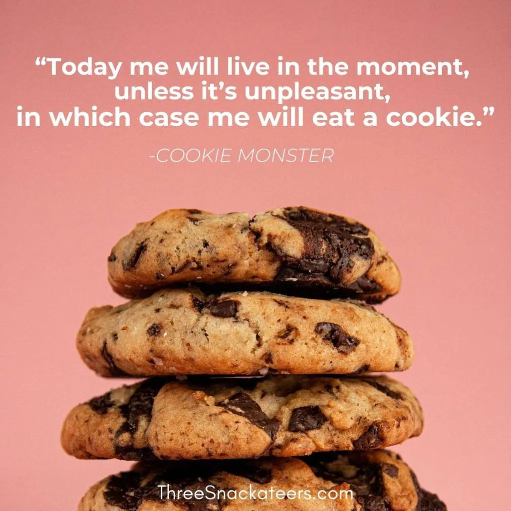 75 Cookie Monster Quotes & Captions - The Three Snackateers