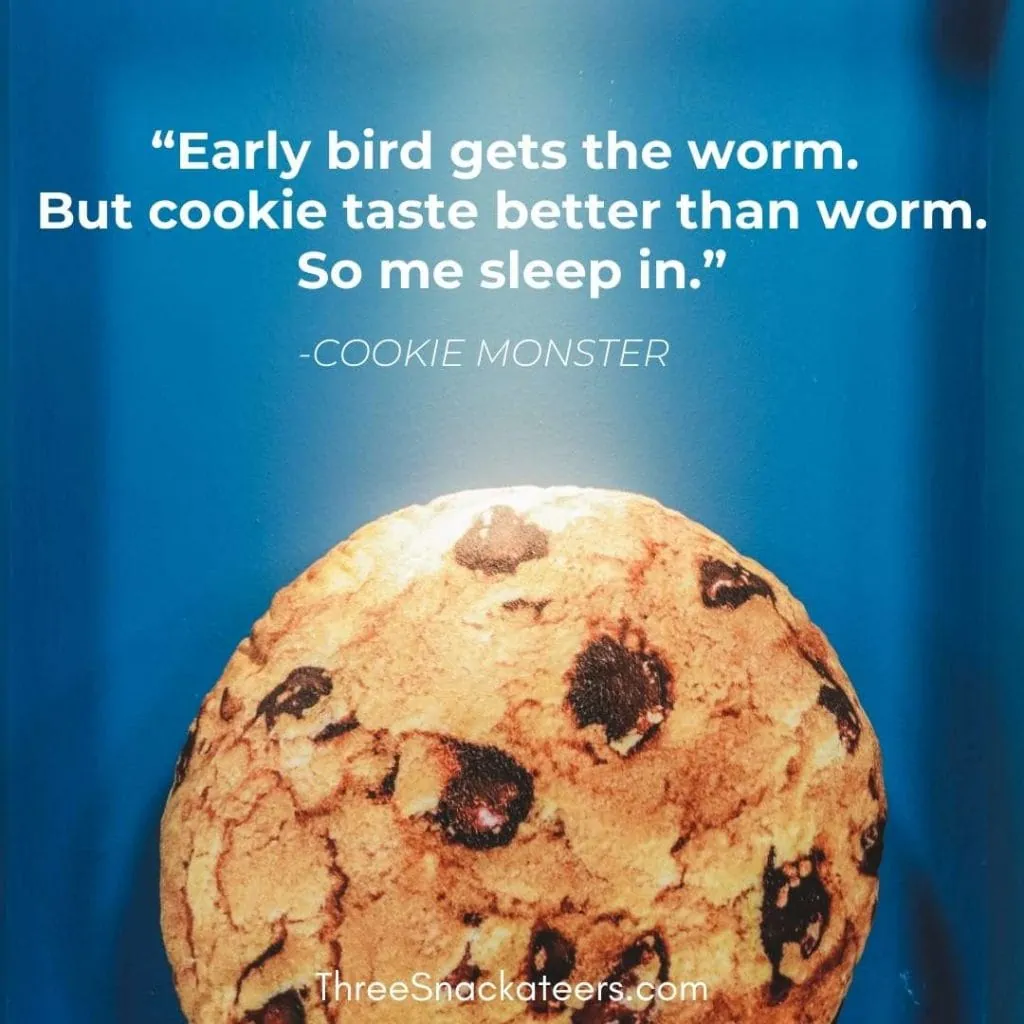 75 Cookie Monster Quotes And Captions The Three Snackateers