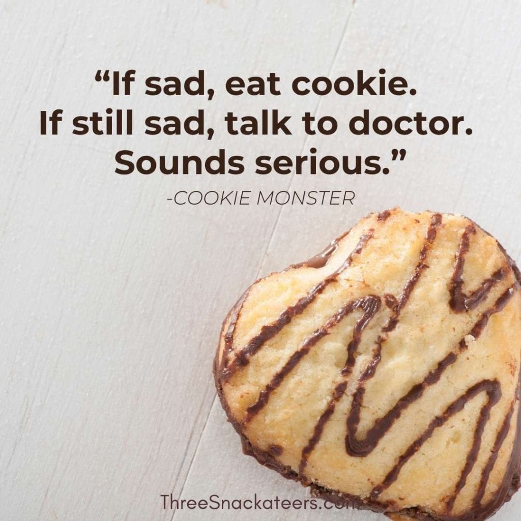 Cookie Monster Quotes Sayings